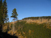 IMG_6707.JPG Photo