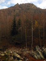 IMG_7208.JPG Photo