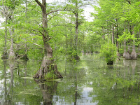 South (upper) canoe launch Photo