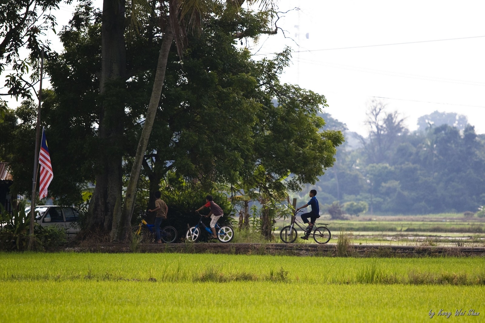 [Field_0033.jpg]