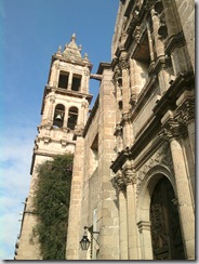 morelia 049