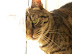 dscn0047.jpg