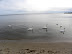 DSCN1447.JPG
