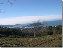 DSCN0113 DSCN0113