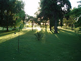 PA260015.JPG
