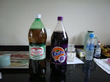 DSC00152.JPG