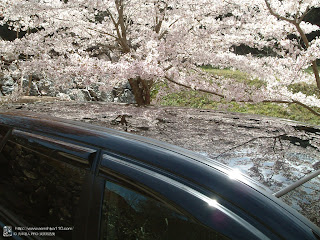 HONDA ODESSEY 06y ������ǯ