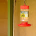 B - South Kaibab Trail 59.jpg, And I guess I saw a humming bird for the first time, too., Grand Canyon NP