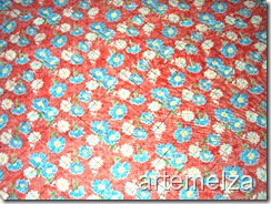 artemelza - chita desfiada artemelza - chita desfiada