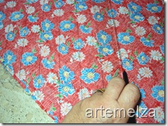 artemelza - chita desfiada artemelza - chita desfiada