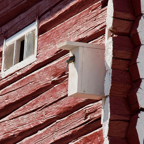 [P4125058[2].jpg]