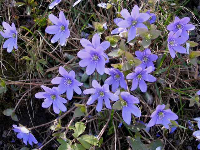 [Mai2009 122[1].jpg]
