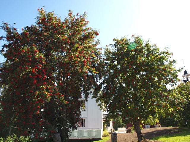 [Aug2009 239[8].jpg]