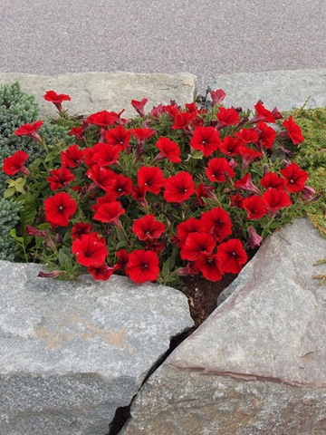 [Sept2009 199[7].jpg]