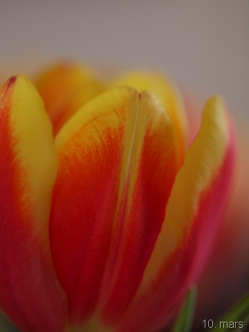 [P3100509[7].jpg]