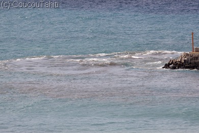 Ca bouillonne au bout de la digue...