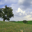 Vale de Porco - Verdes Campos.jpg