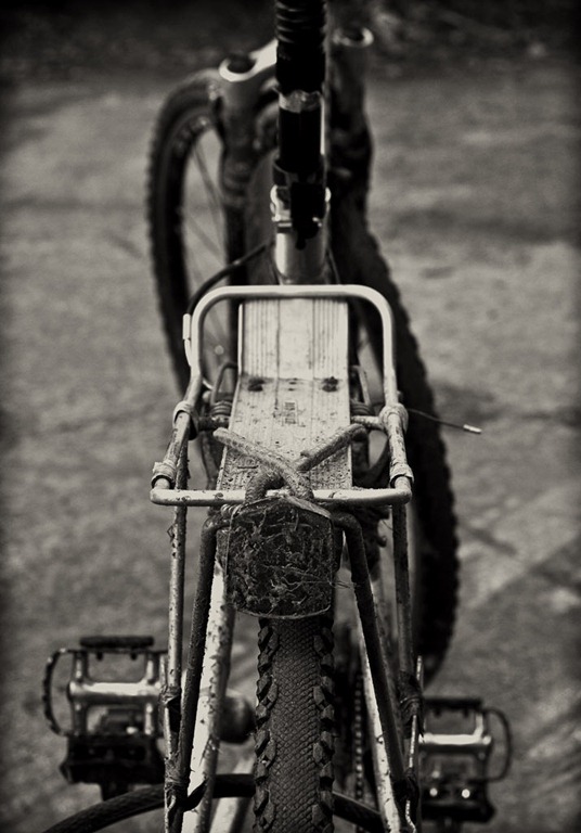 [The-Bikes[3].jpg]