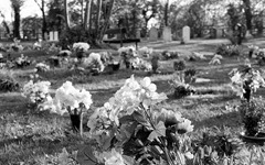 The-Graveyard-5---film