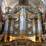 Massive organ.