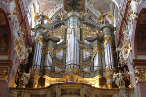 Massive organ.