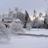 Ice Storm 09
