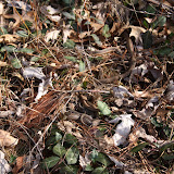 2009_03_18