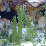 P1030479.JPG