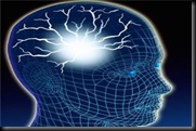 cerebro3 cerebro3