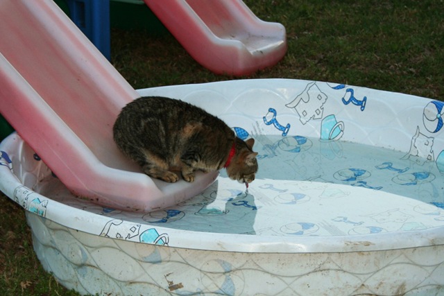 [2010-05-02 026.jpg]