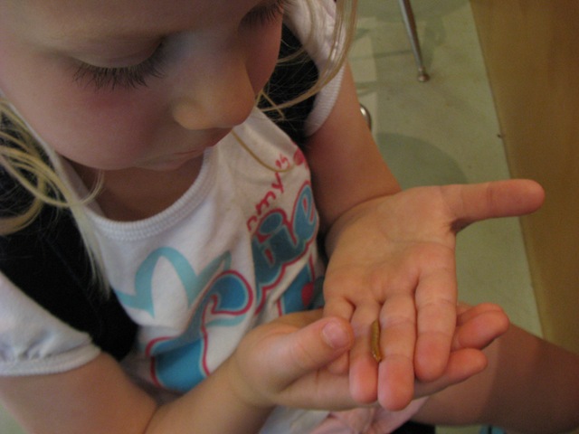 [2009-04-15 086[3].jpg]