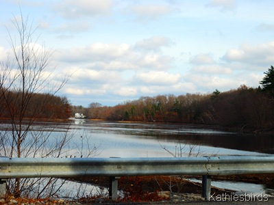 DSC_0003 DSC_0003