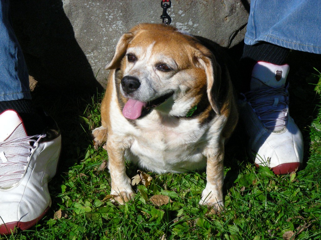 [Snoopy's Last day 015[3].jpg]