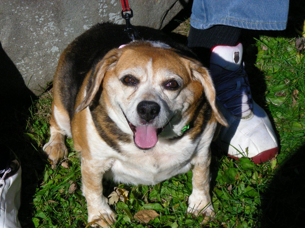 [Snoopy's Last day 016[5].jpg]