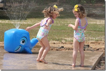 IMG_1160 IMG_1160