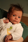 IMG_8929.JPG