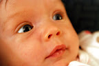 7 Weeks