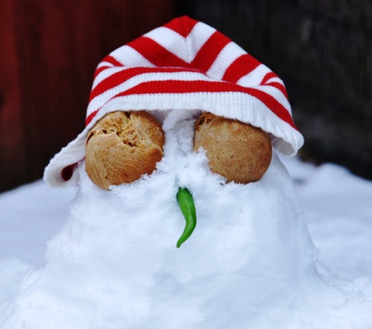 [snowman[7].jpg]