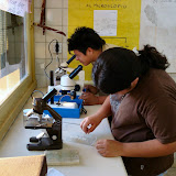 Feria de Ciencias Ciclo 2008