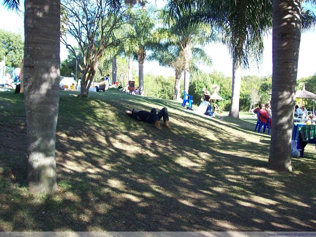 [100_6858[2].jpg]
