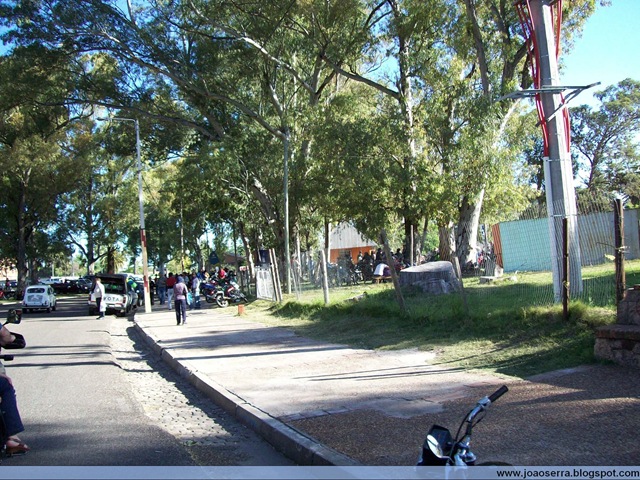 [100_8658[2].jpg]