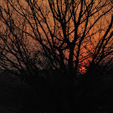 Richmond Park