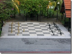 CIMG7522 CIMG7522