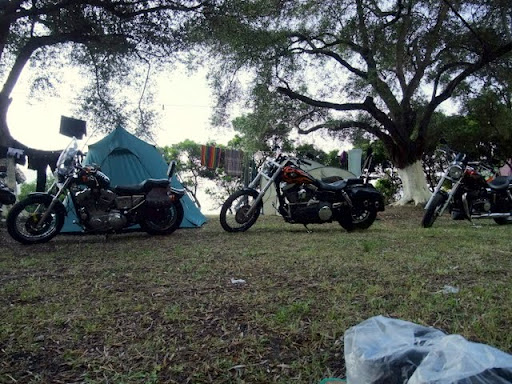 Posted Image