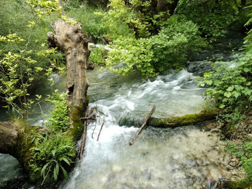 Posted Image
