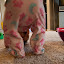 DSC_4829.jpg DSC_4829.jpg