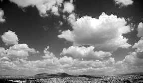 DSC_0379.JPG