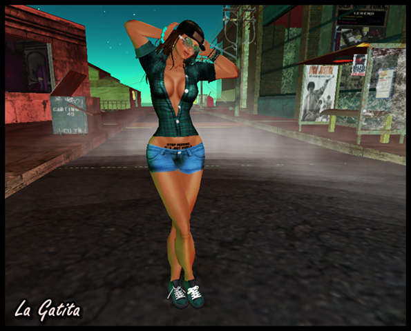 [Snapshot_090[5].png]