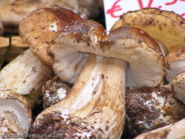 Итальянские трюфеля и белые 