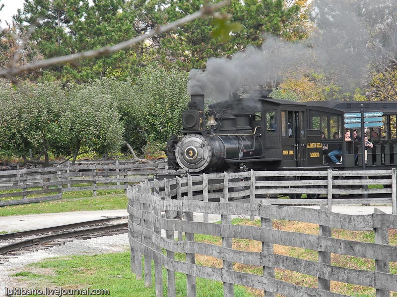 Гринфилд Вилладж - 1